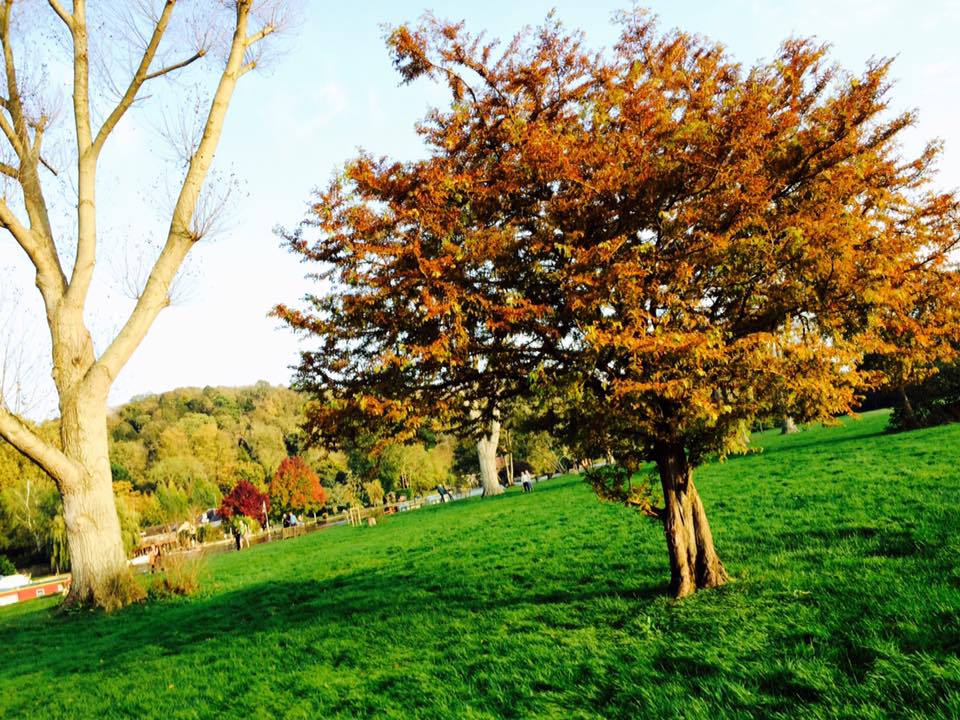 henley_autumn
