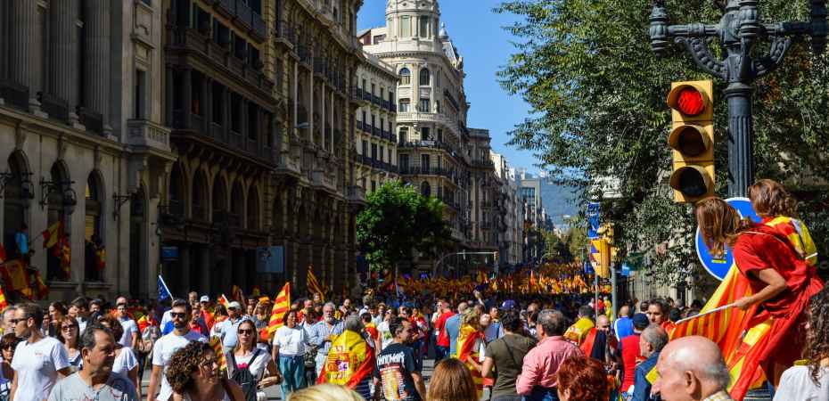 photo of people rallying in the street